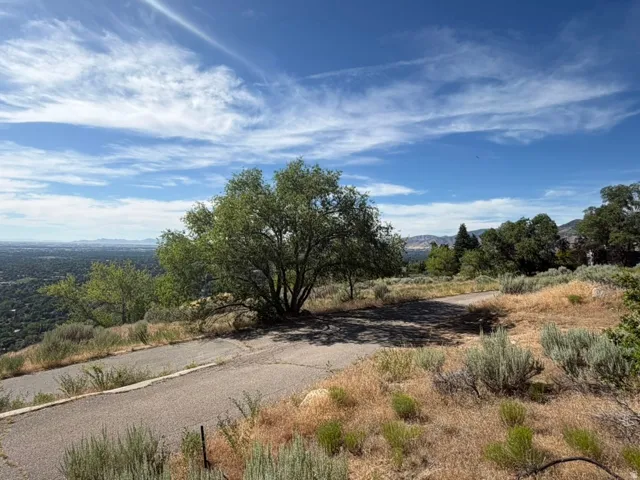 Elevated lot featuring a paved surface, mature trees, and natural landscaping