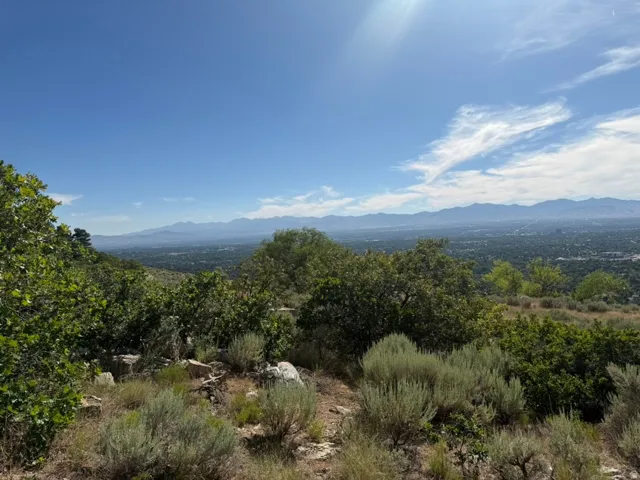 Expansive mountain and city landscape with varied natural foliage