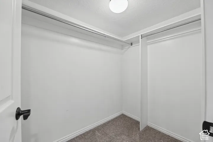 Recessed lighting illuminates this walk-in closet featuring built-in hanging rods and neutral carpeting