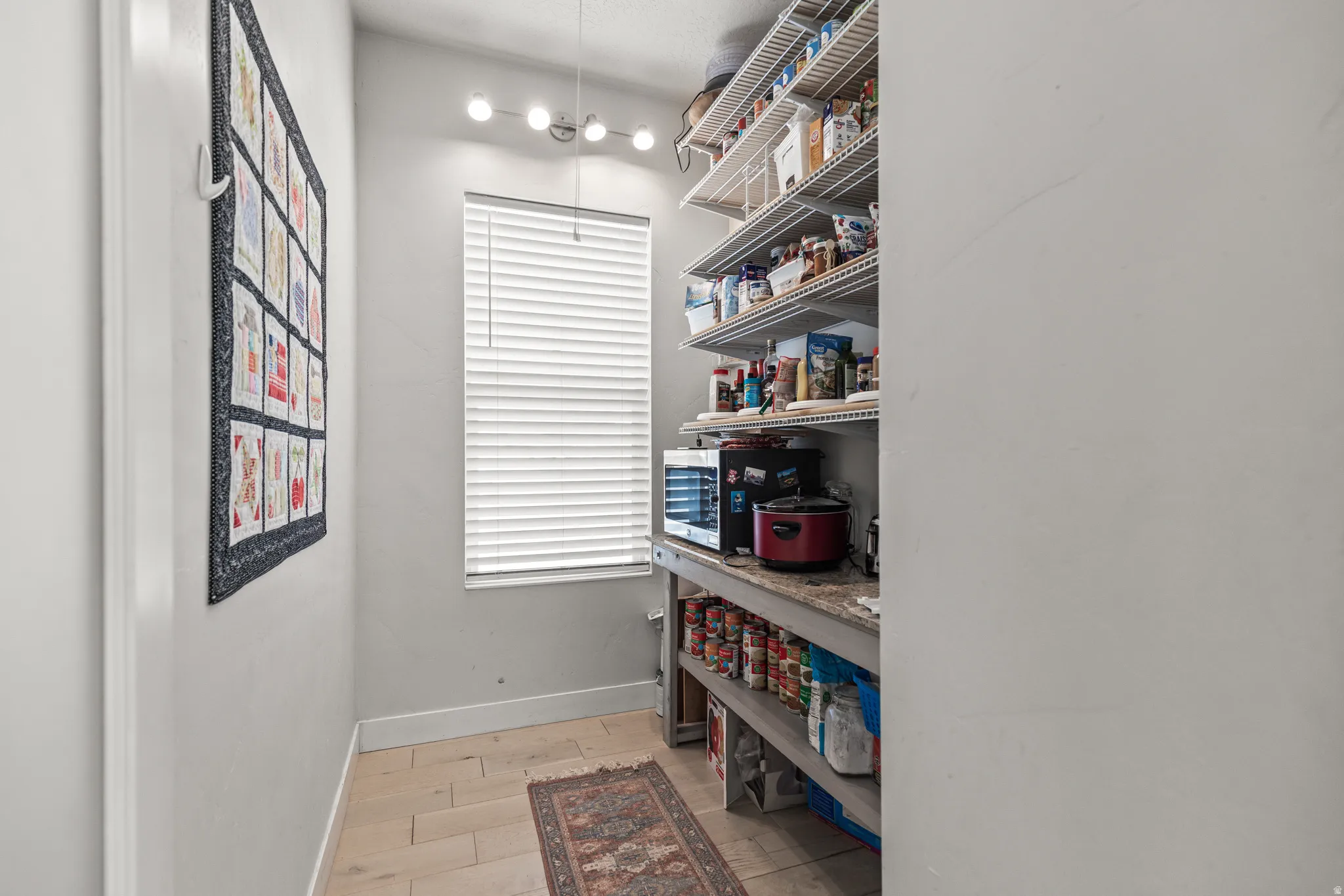 Spacious walk-in pantry featuring extensive wire shelving, a built-in countertop, and wood-finish flooring