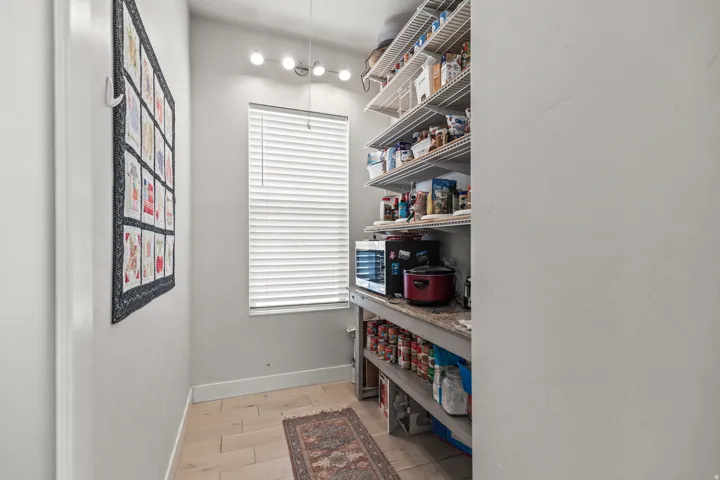 Spacious walk-in pantry featuring extensive wire shelving, a built-in countertop, and wood-finish flooring