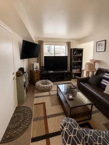 Unit C: Living area featuring neutral-toned walls and carpet flooring