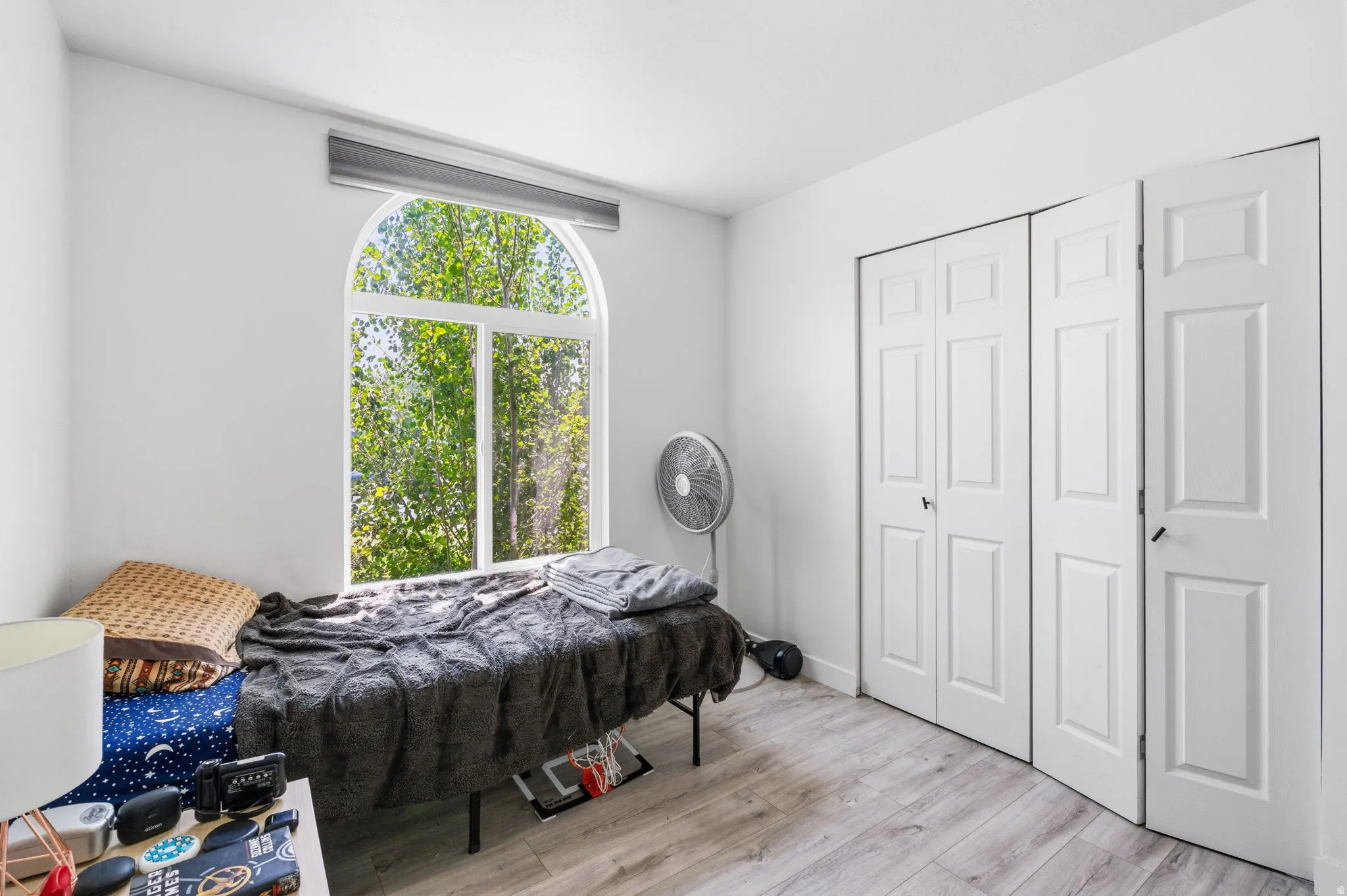 Arched window with natural light and tree canopy views
