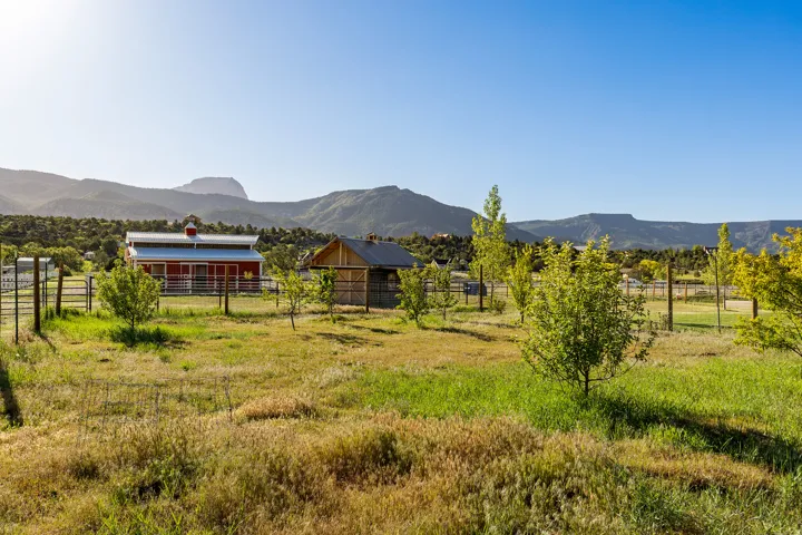 Expansive grounds featuring a red barn with a metal roof, a smaller wood-sided building, and multiple young trees