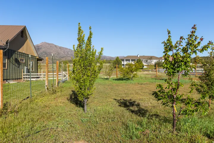 Expansive grassy field with scattered young trees, bordered by a wire fence and a white wooden fence with a gate