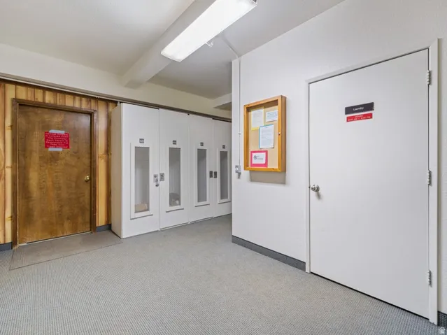 Hallway with light-colored carpet, white walls, and a white door with a silver knob