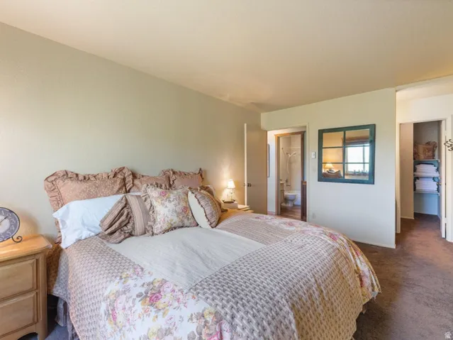Carpeted bedroom featuring light-colored walls and a built-in closet with shelving