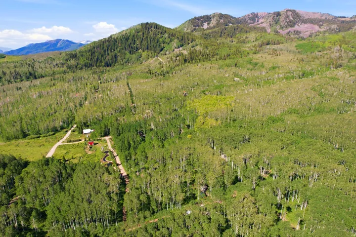 Expansive mountain property featuring lush green tree coverage and distant mountain ranges