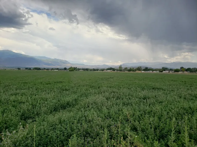 540 N 400 E, Elsinore, Utah 84724