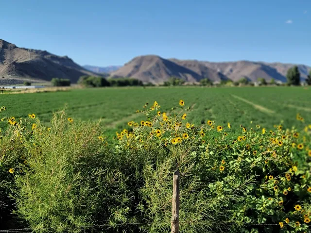 540 N 400 E, Elsinore, Utah 84724
