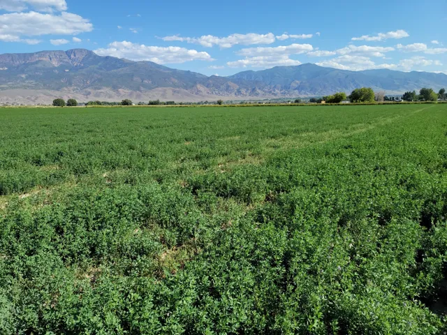 540 N 400 E, Elsinore, Utah 84724