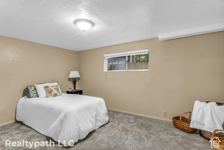 Carpeted room featuring a single window, a flush-mount ceiling light fixture, and neutral wall tones