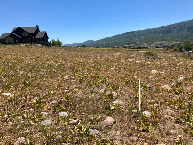 Expansive land parcel with surrounding mountain scenery