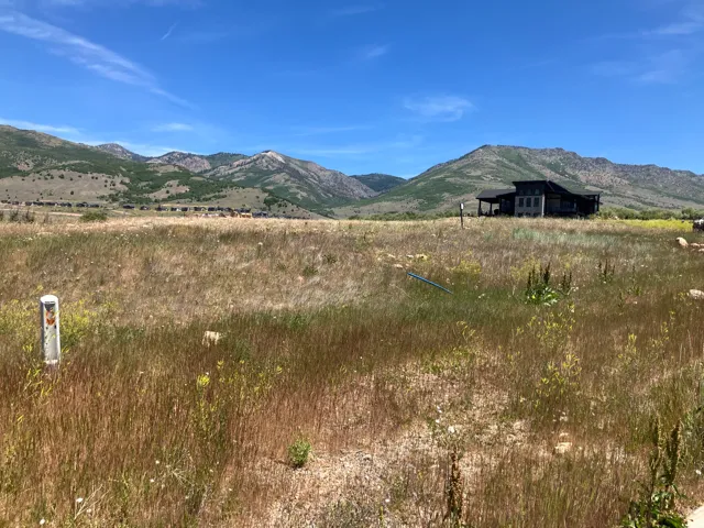 Expansive undeveloped terrain with a distant mountain backdrop