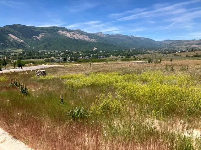 Expansive open land with varied natural groundcover, featuring distant mountain ranges and scattered residential structures