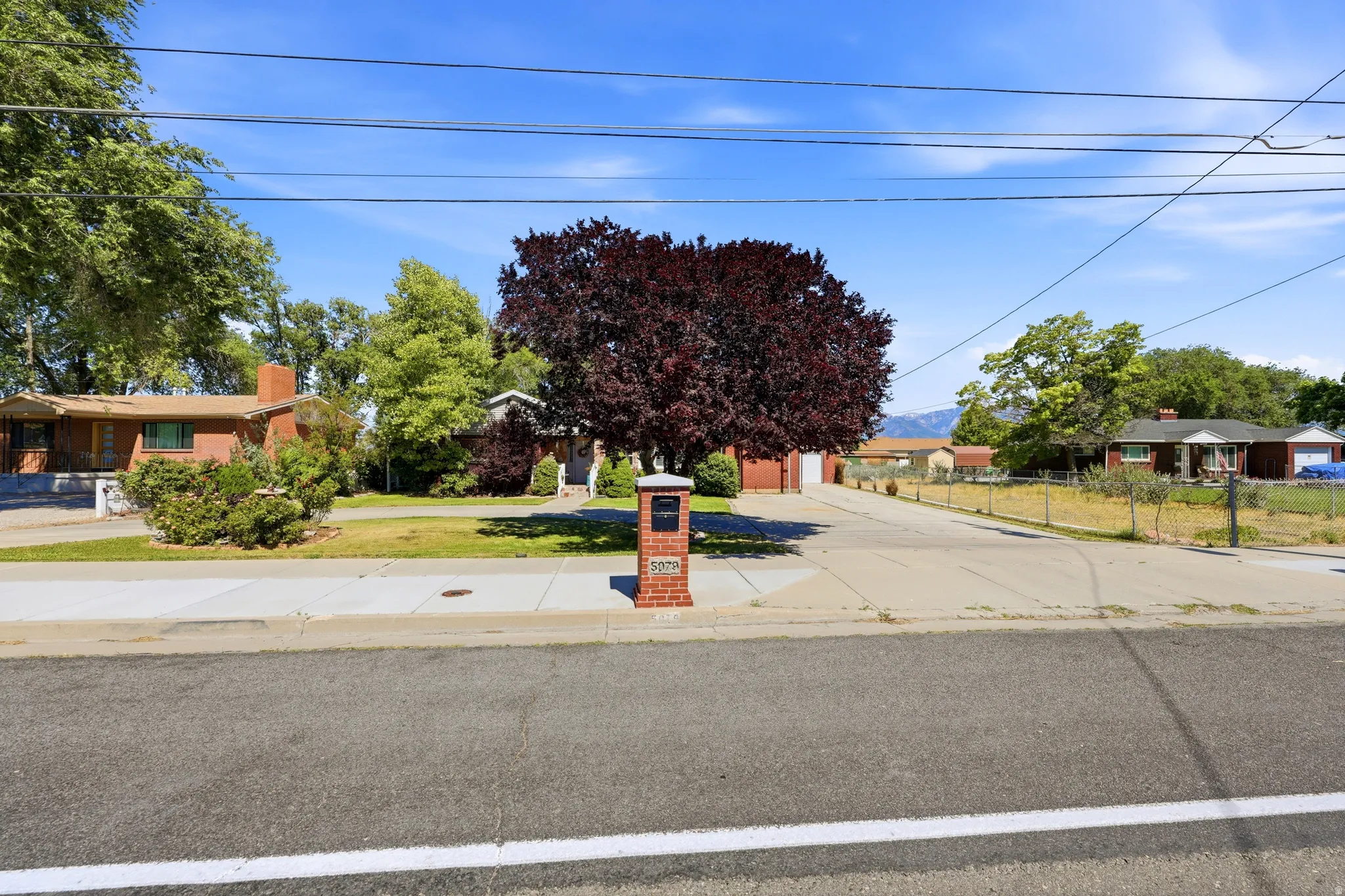 Expansive front yard featuring a mature tree, concrete driveway, and established green lawn