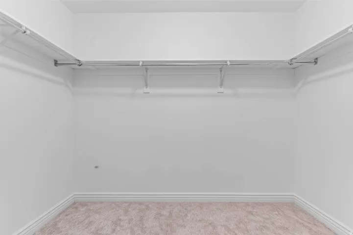 Walk-in closet featuring light beige carpeting, white walls, and white baseboards