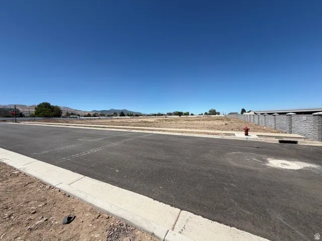 Expansive lot featuring a level terrain, paved street, concrete curb, and a nearby fire hydrant