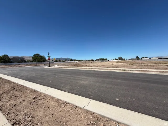 Paved street with concrete curbing, surrounded by undeveloped land