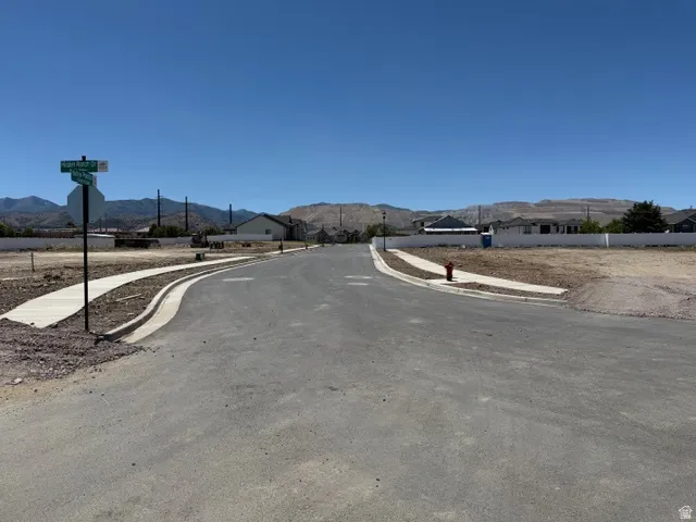 Paved street with concrete sidewalks and curbing, surrounded by undeveloped land