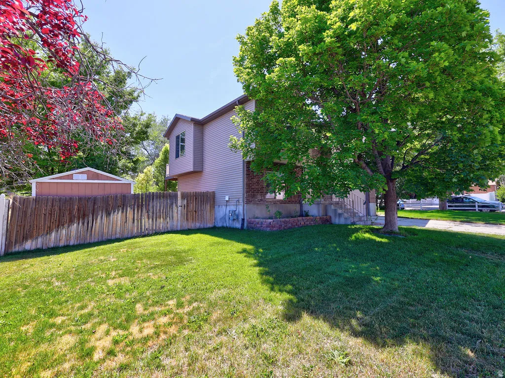 Expansive green lawn featuring a mature shade tree, a wood privacy fence, and a detached shed
