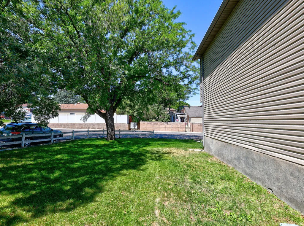 Manicured lawn with mature shade tree