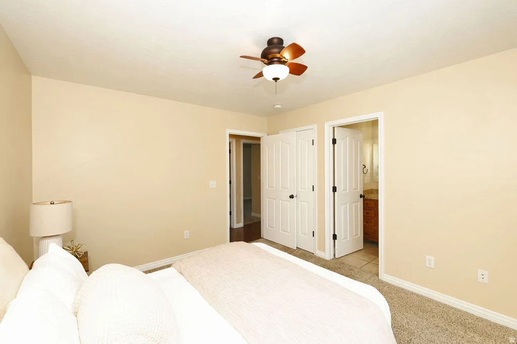 Neutral-toned walls and carpeted flooring