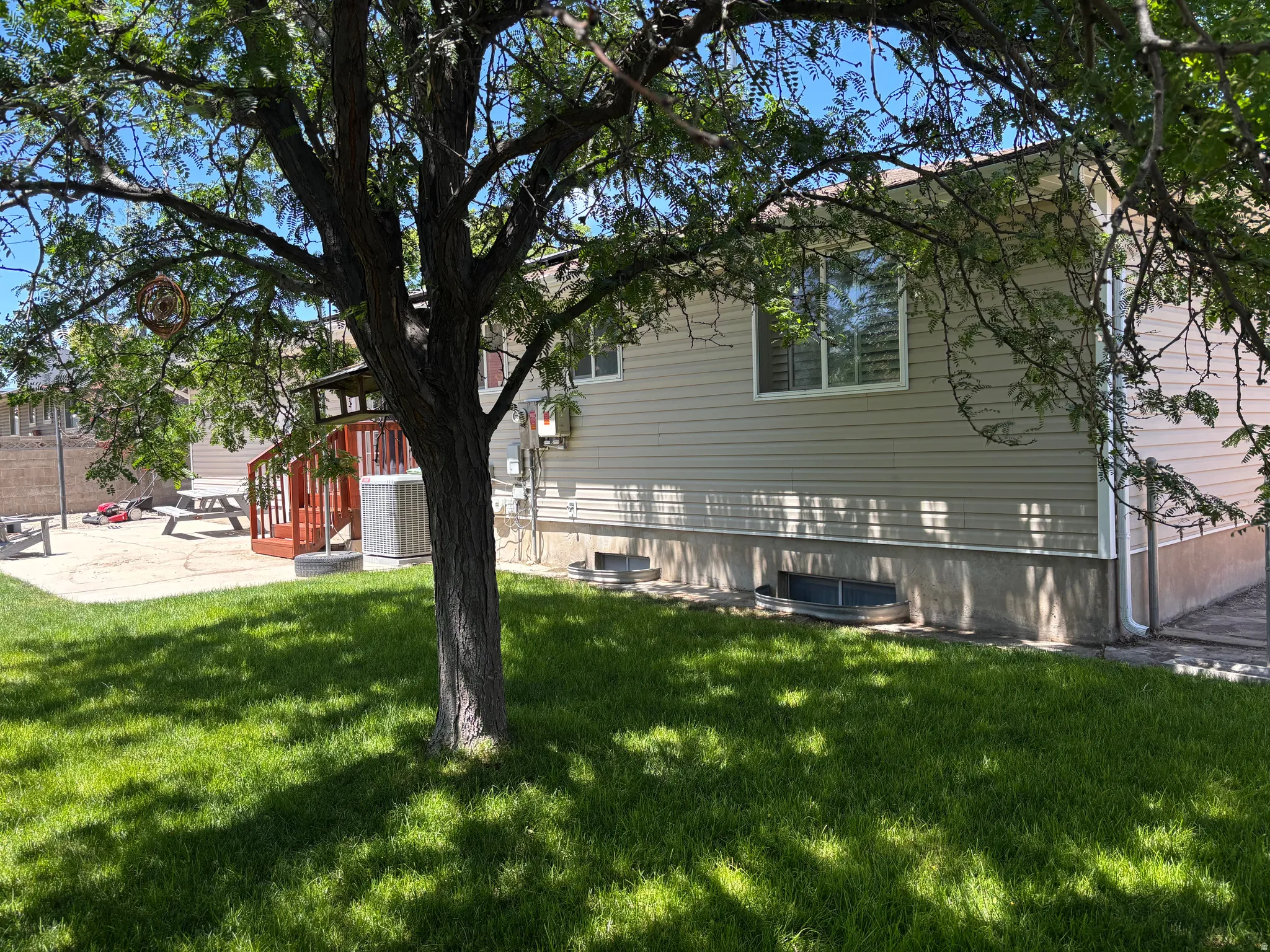Expansive backyard featuring a manicured lawn, mature tree, and a concrete patio