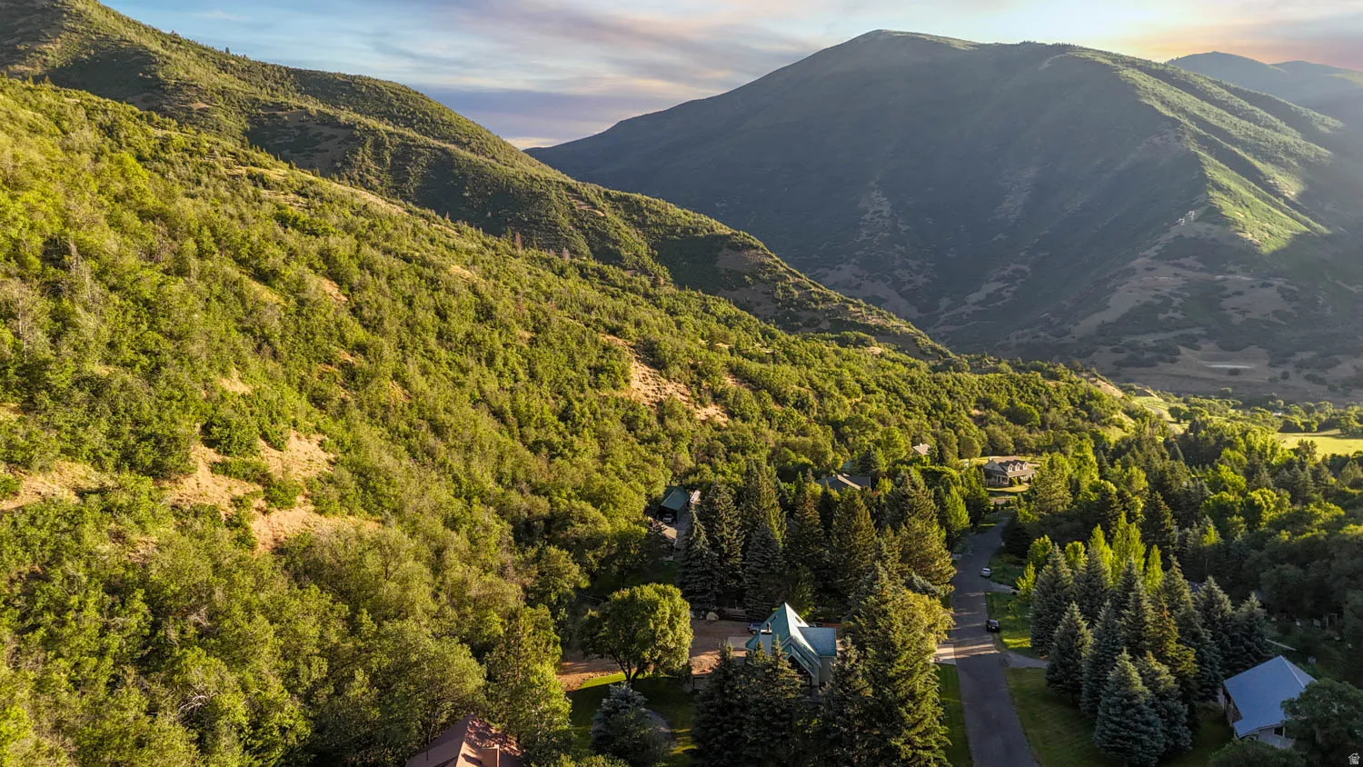 Mountainous terrain with lush green foliage, featuring a paved road winding through a treed landscape