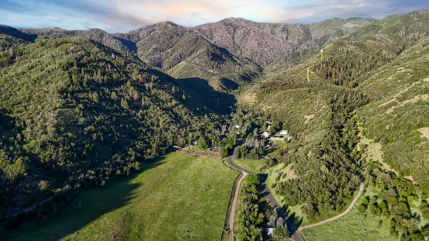 Expansive mountain landscape featuring varied tree coverage and a winding road