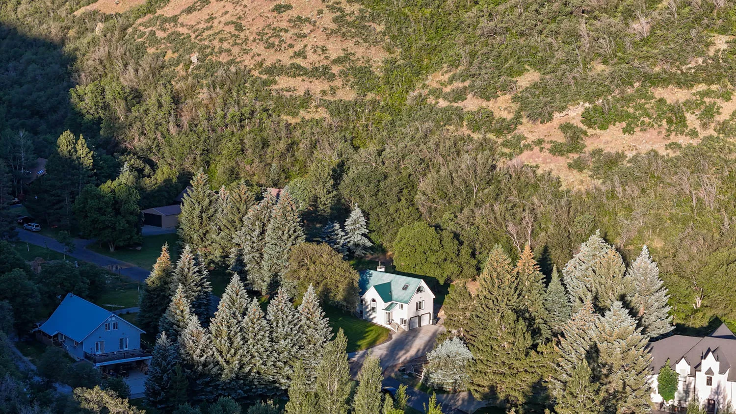White exterior residence featuring a green roof, multiple gables, a paved driveway, and mature landscaping