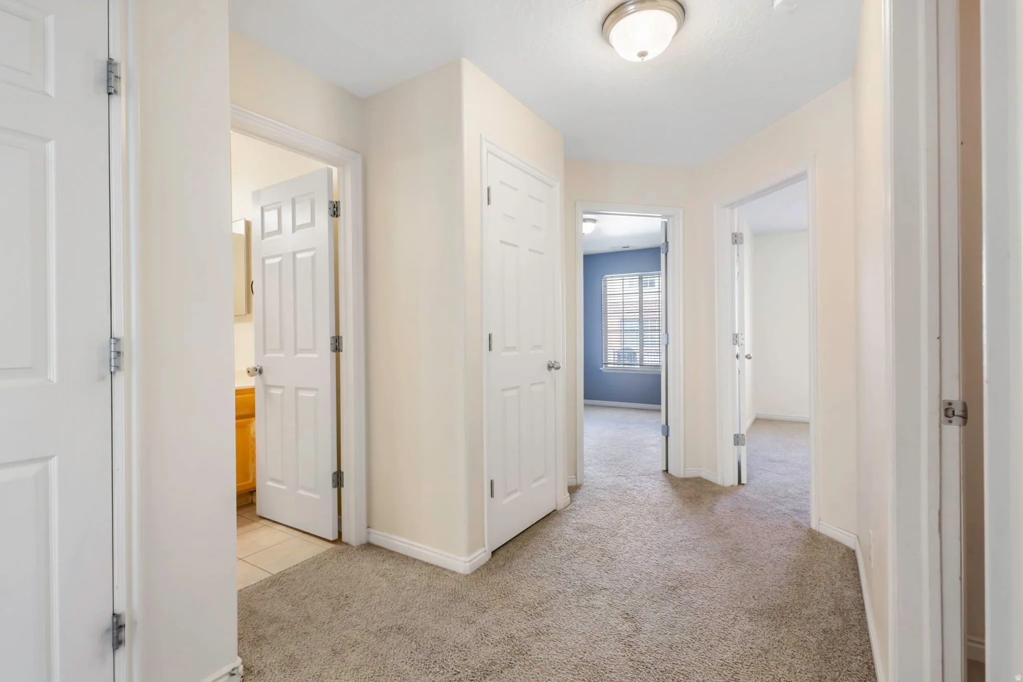 Interior hallway featuring neutral carpeting and light-colored walls