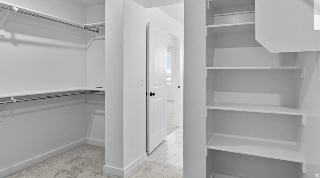 Walk-in closet featuring white walls, carpet flooring, chrome hanging rods, and built-in shelving