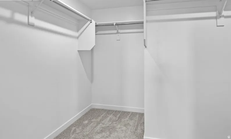 Spacious walk-in closet featuring white walls, grey textured carpeting, and multiple clothing rods with shelving