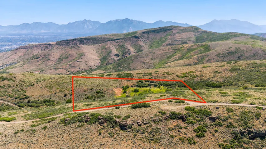 Expansive parcel of land featuring natural vegetation and direct road frontage