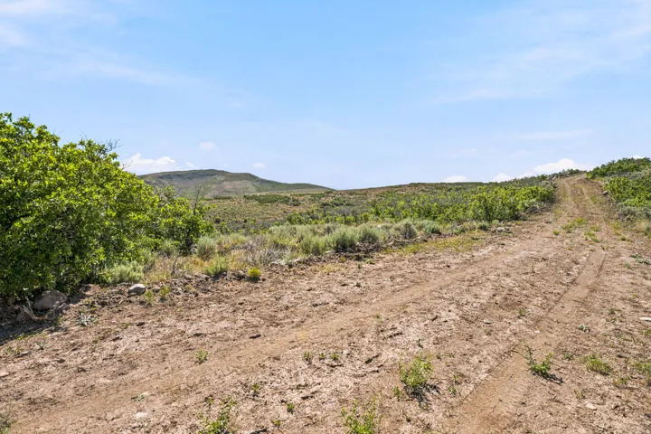 Expansive undeveloped land with a dirt road, surrounded by natural shrubbery and distant hills under a clear sky