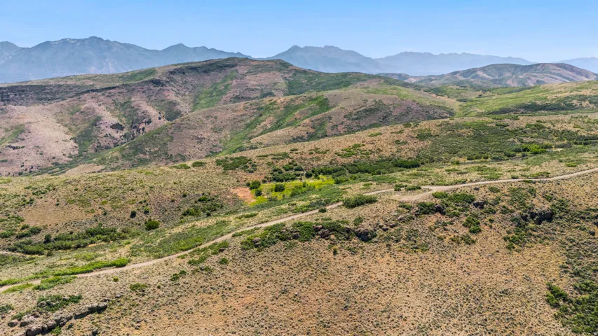 Expansive undeveloped terrain featuring a dirt road, varied scrub vegetation, and distant mountains under a clear sky