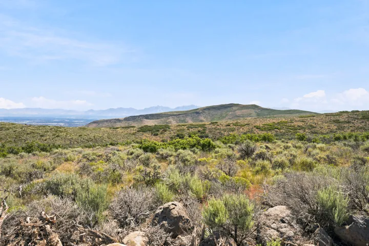 Expansive natural landscape featuring varied green shrubbery and rock formations