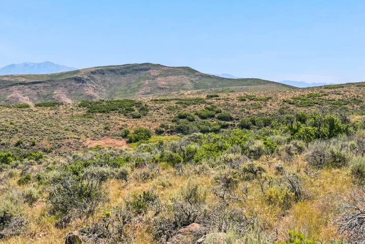 Expansive land parcel featuring natural shrubbery and varied terrain