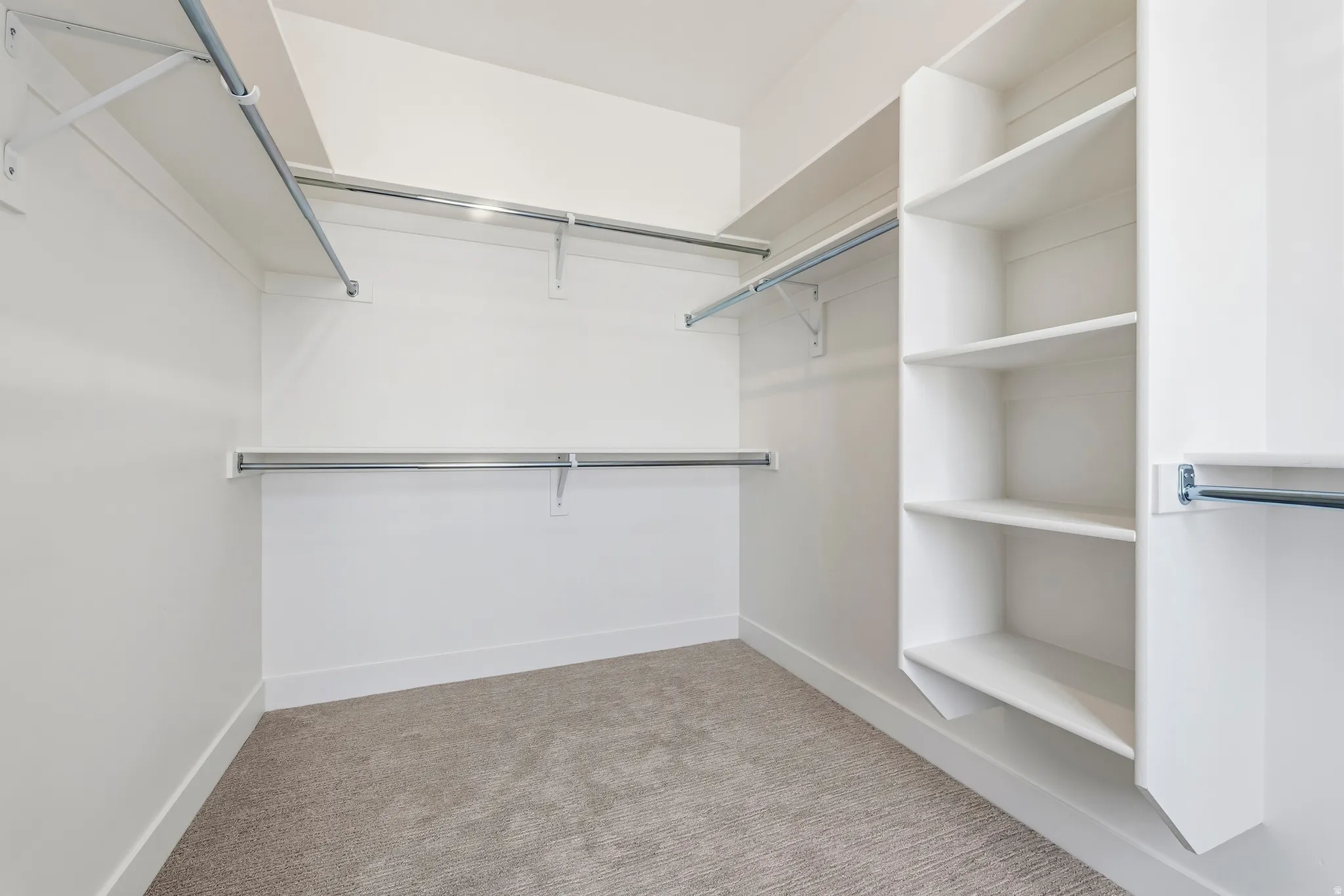 Walk-in closet featuring white walls, carpet flooring, multiple chrome hanging rods, and built-in shelving