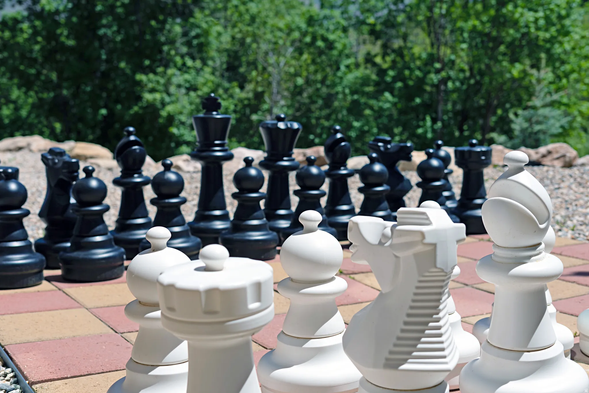 Life Size Chessboard