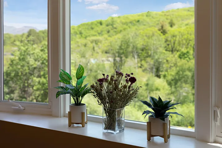 2548 N Nordic Valley Drive Dr, Eden, Utah 84310