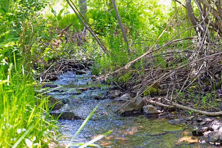 2548 N Nordic Valley Drive Dr, Eden, Utah 84310