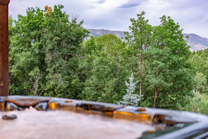 2548 N Nordic Valley Drive Dr, Eden, Utah 84310