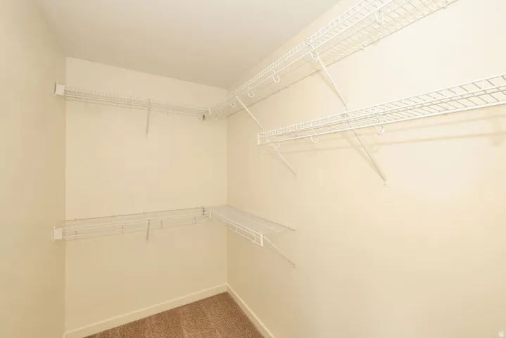Walk-in closet featuring wire shelving, wall-mounted racks, and carpeting