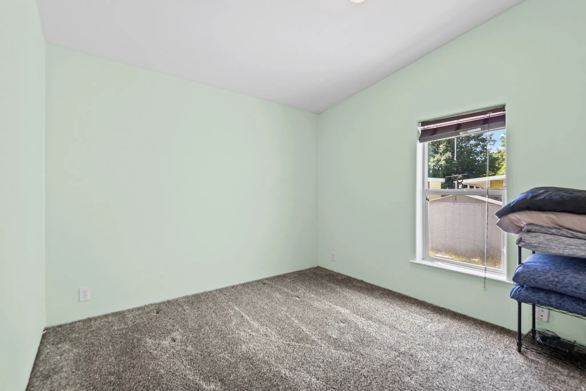 Interior room featuring light green walls and plush gray carpeting