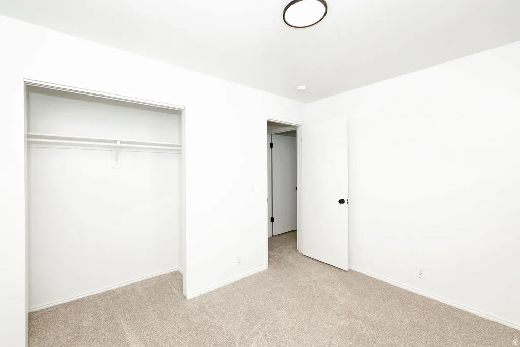 Bright room featuring neutral-toned carpet flooring, white walls, and a ceiling-mounted light fixture