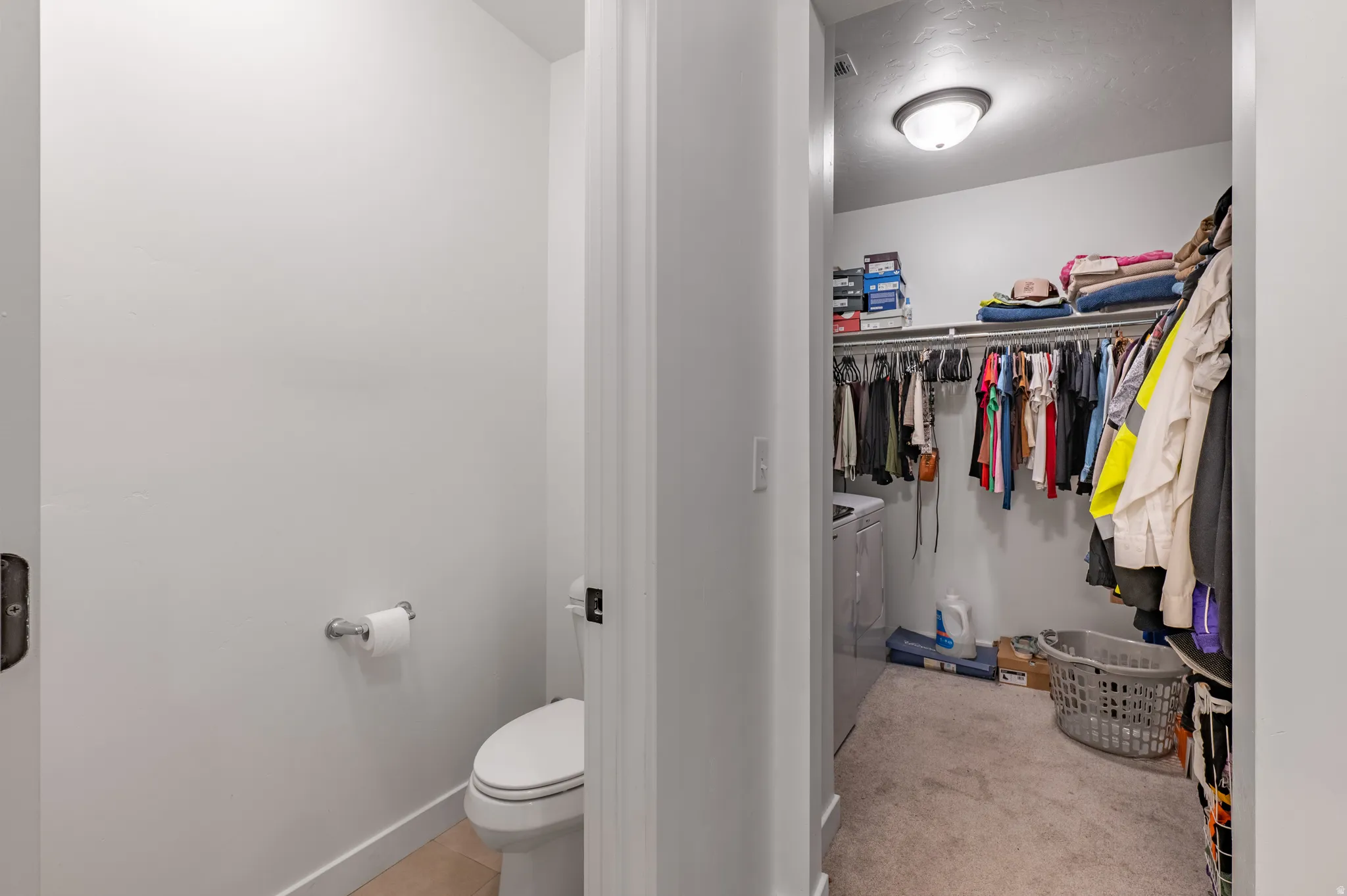 Dedicated laundry area within a walk-in closet featuring carpet flooring, built-in shelving, and a ceiling-mounted light fixture