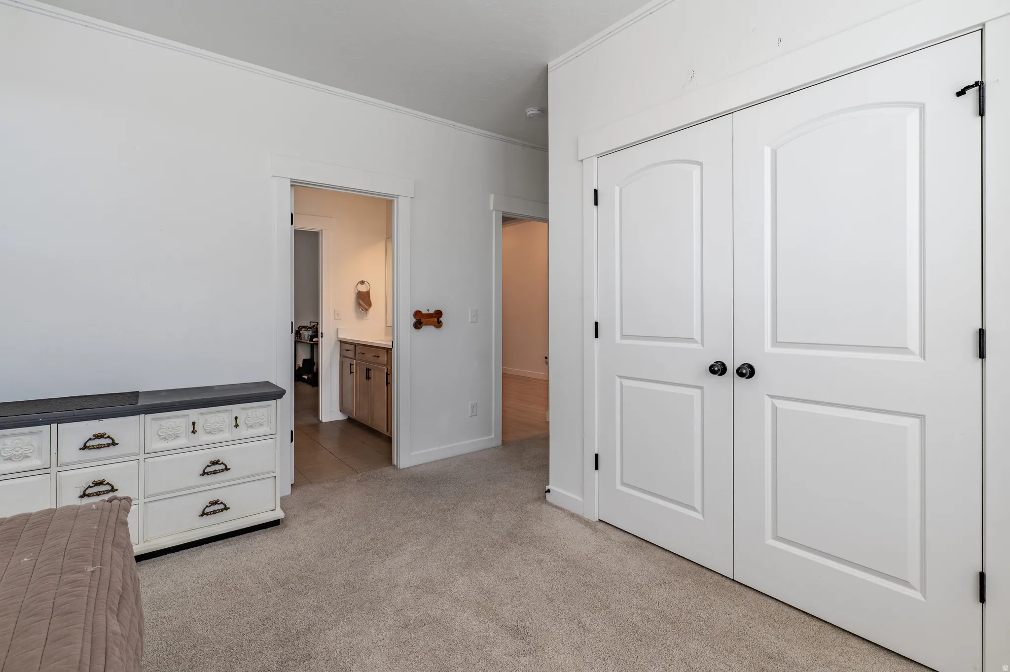 White paneled double doors with black hardware, neutral carpet, and a light-toned wall finish
