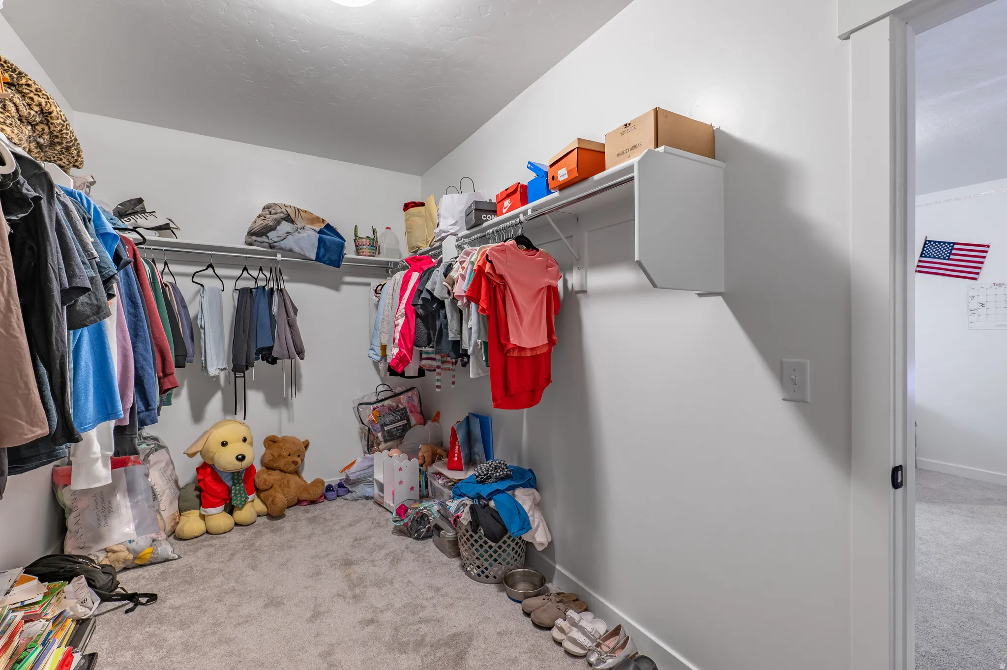 Spacious walk-in closet featuring light gray carpet flooring, white walls, and built-in white shelving with hanging rods